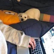 看见旧时光的个人资料头像