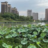 高山流水之艳头像