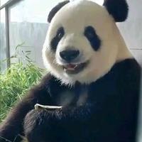 原来是飞云头像