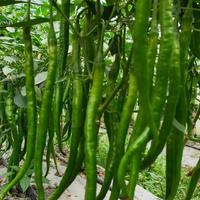 下一站载入头像