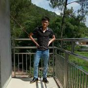 一棵树99的个人资料头像