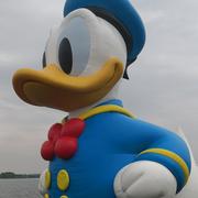 徐大大伟的个人资料头像