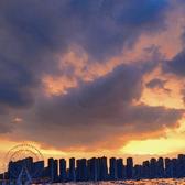 金嘻嘻8头像