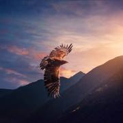 用户6454800962881的个人资料头像