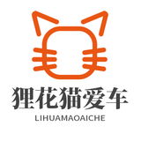 狸花猫爱车头像