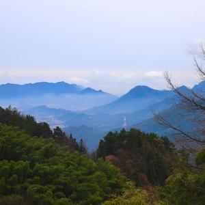 静幽南民宿头像