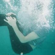 Fall的个人资料头像