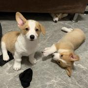 MrMo的个人资料头像