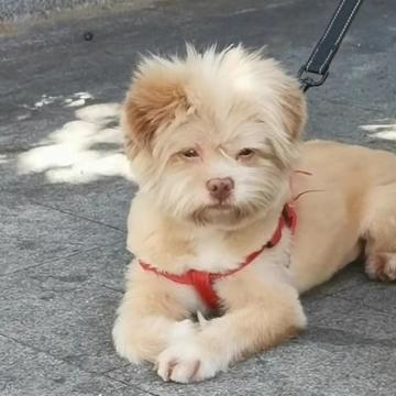 哇塞女孩爱说话头像