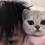 wait15025头像