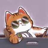 风吹裤衩丁老师凉头像