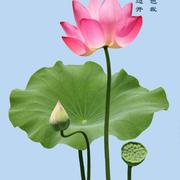 小U的个人资料头像