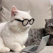 JaneEyre_的个人资料头像