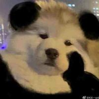 呼啸而过145头像