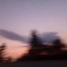 Wu_的个人资料头像