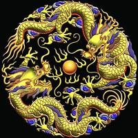 龙雄风头像