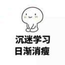 初夏风的个人资料头像