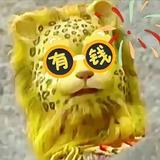 格式化11393头像
