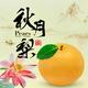 无问西东2009头像