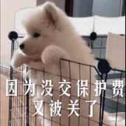 ghostL的个人资料头像