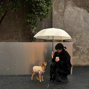 内向的桌子的个人资料头像