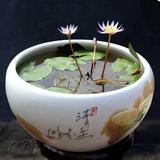 钓鱼佬Mr头像