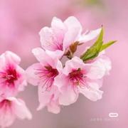 钱里共相会的个人资料头像