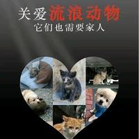 愿世界不再有抛弃和伤害头像