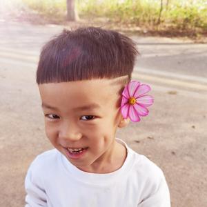 呆呆的秘密头像