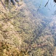 阿正235的个人资料头像