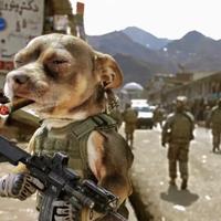 半亩花田园林头像