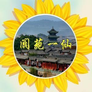 阆苑一仙559头像