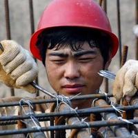 搬砖小哥739头像