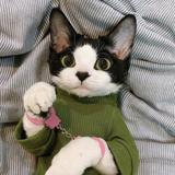 用户4925546779281头像