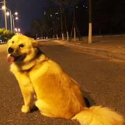 JSCrazyer的个人资料头像