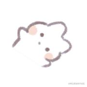 王水的个人资料头像