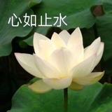 草莓种大棚头像
