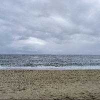 时髦海风dNM头像