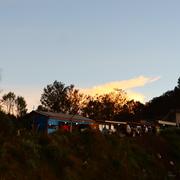 毛戈尔的个人资料头像