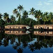 ad20的个人资料头像