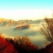 山点水的个人资料头像