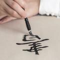 lichao117234986头像