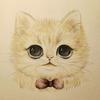 麦迪猫头像