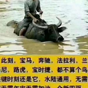 （华克娱乐，聊八卦）头像
