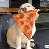 我在屋头灵活本来就头像