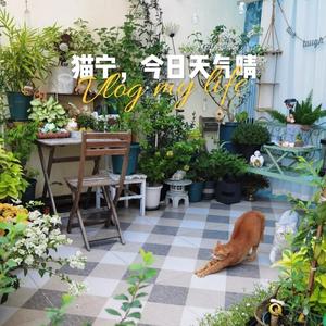 种花喝茶小魔羯头像