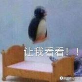 用户8276769813953头像