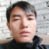 开心果头像