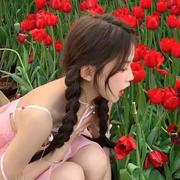 春樱的个人资料头像