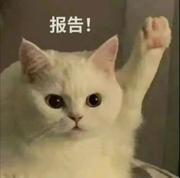小莫欢的个人资料头像